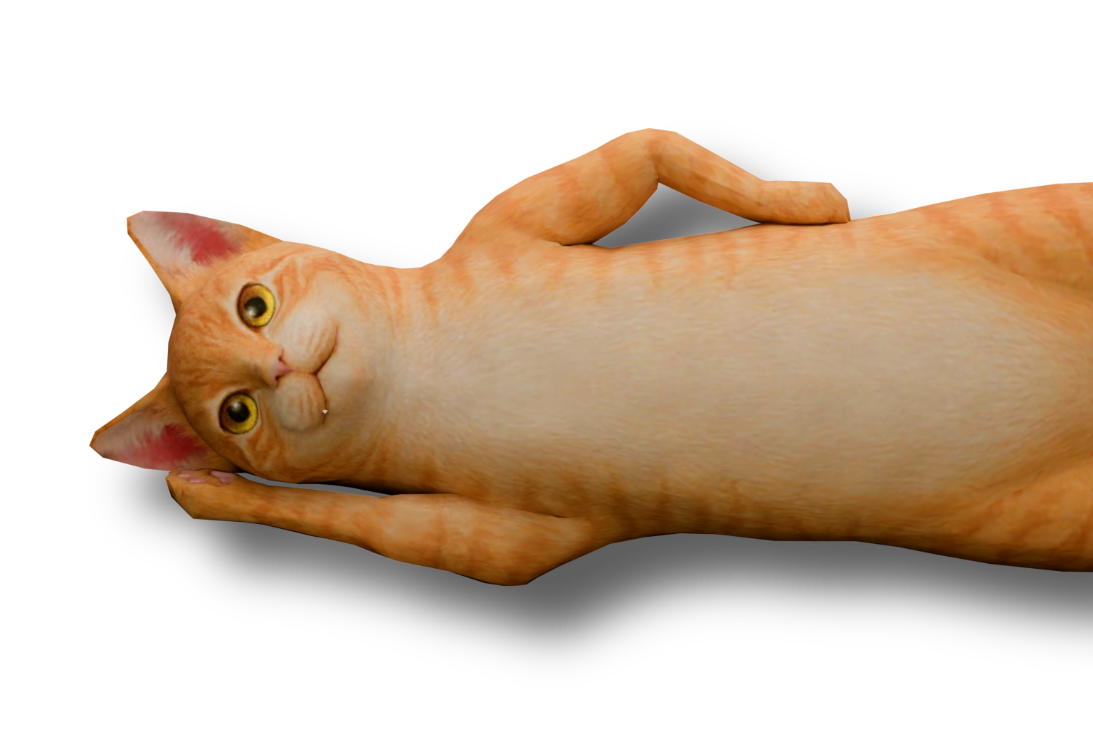 Cat in Background